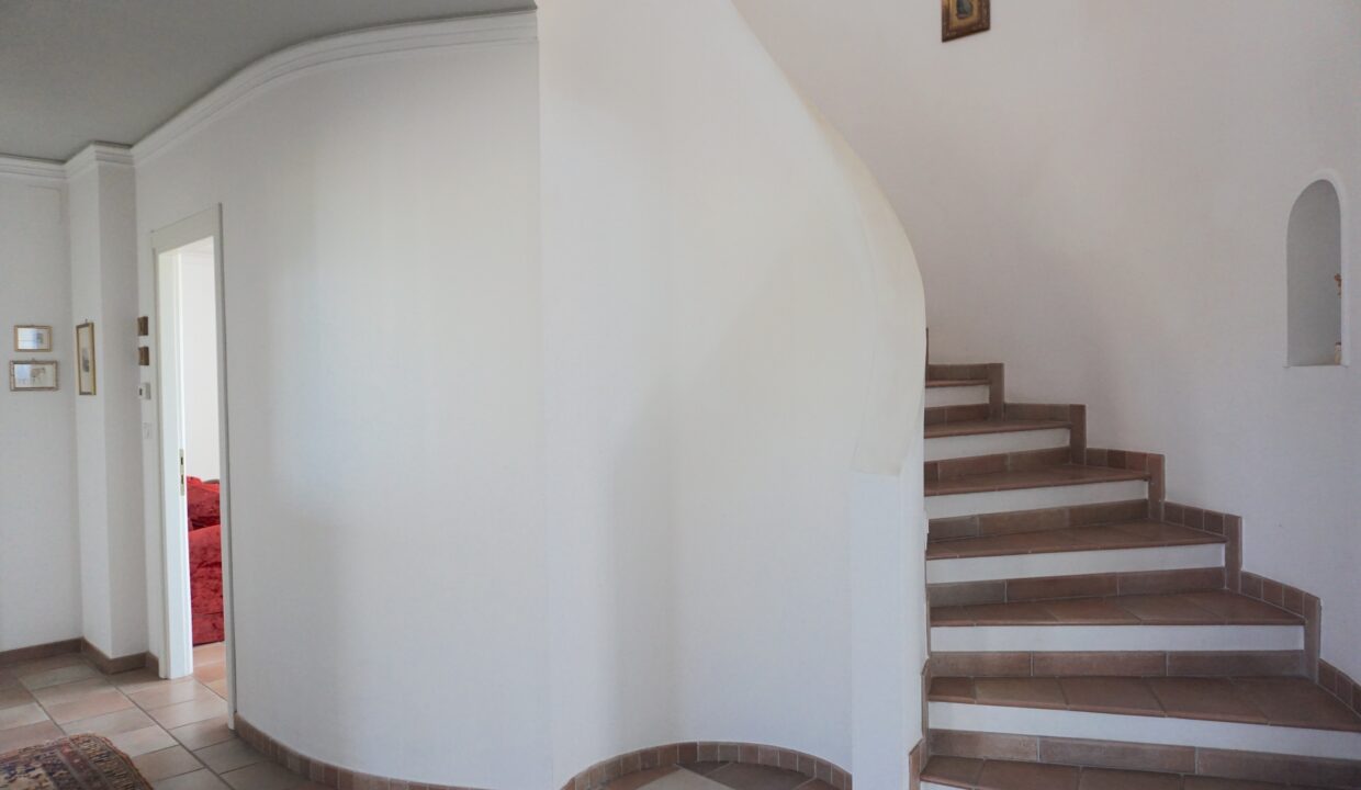 DSC07192
