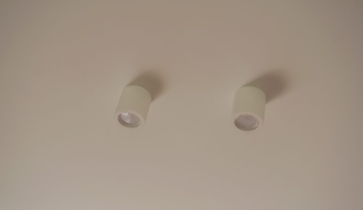 DSC08733