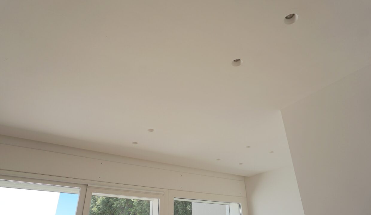 DSC08739