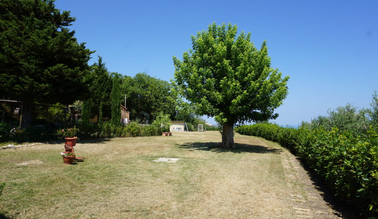 DSC08798