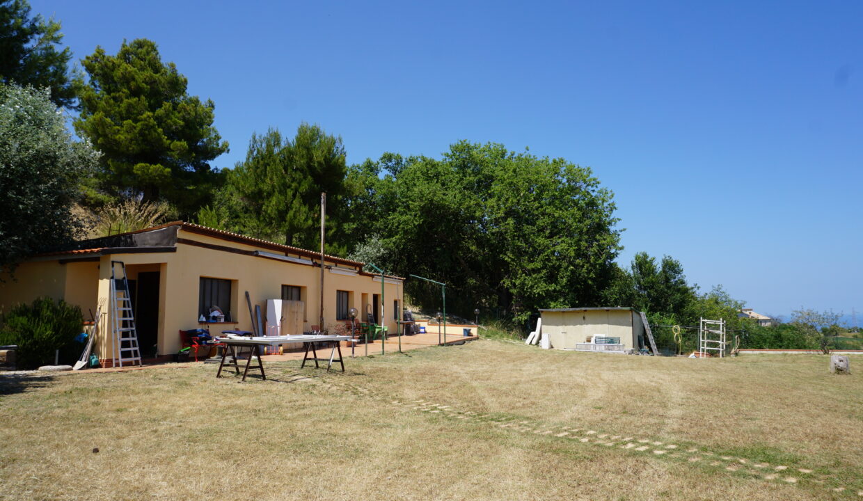 DSC08799