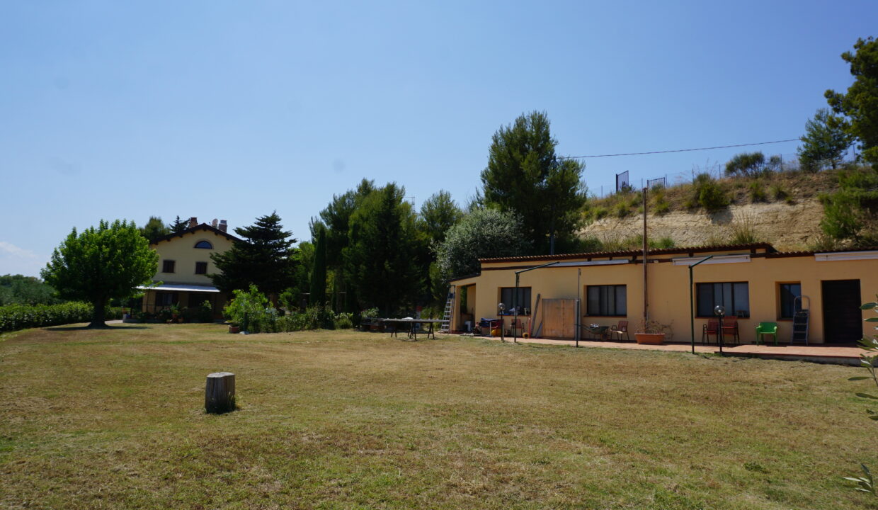 DSC08800
