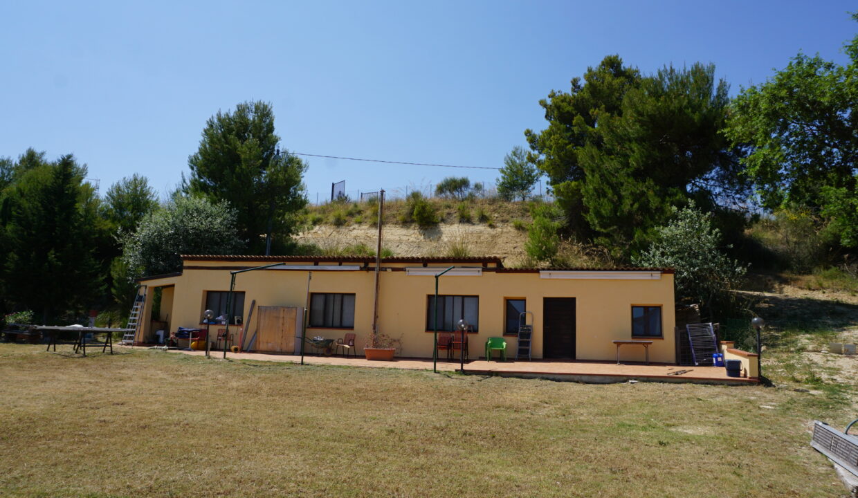 DSC08801