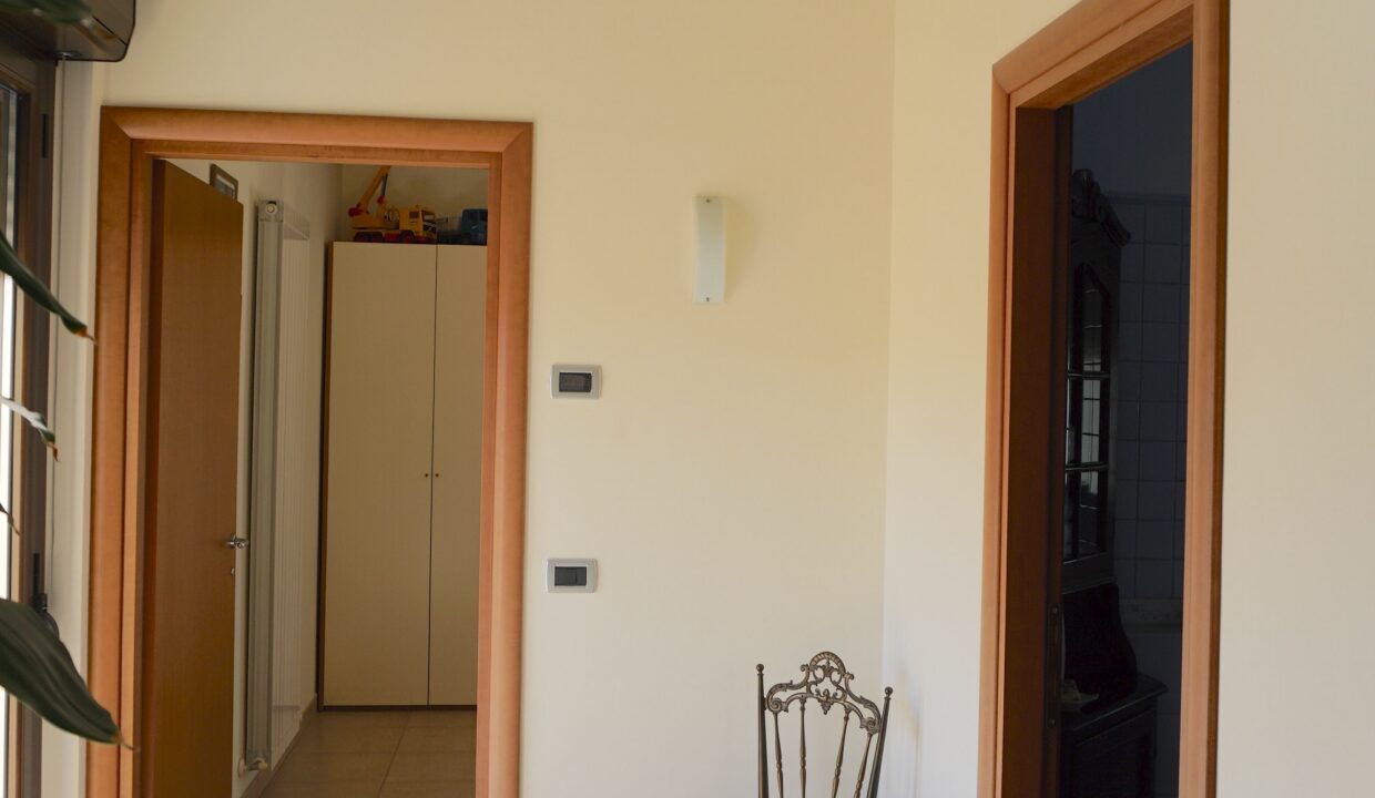 DSC08851