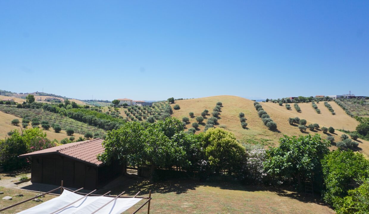DSC08856