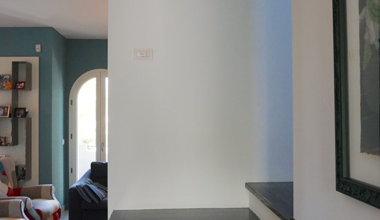 DSC08993