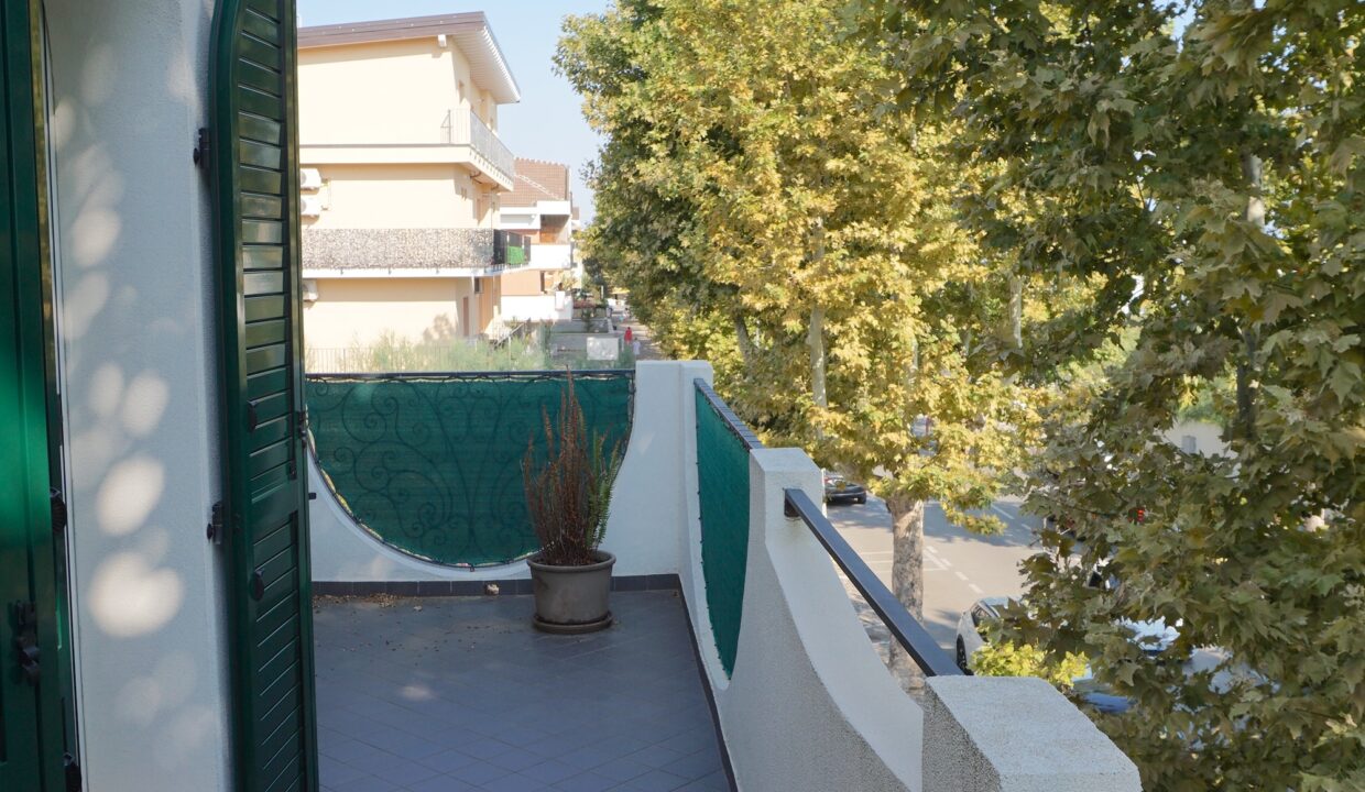 DSC09003