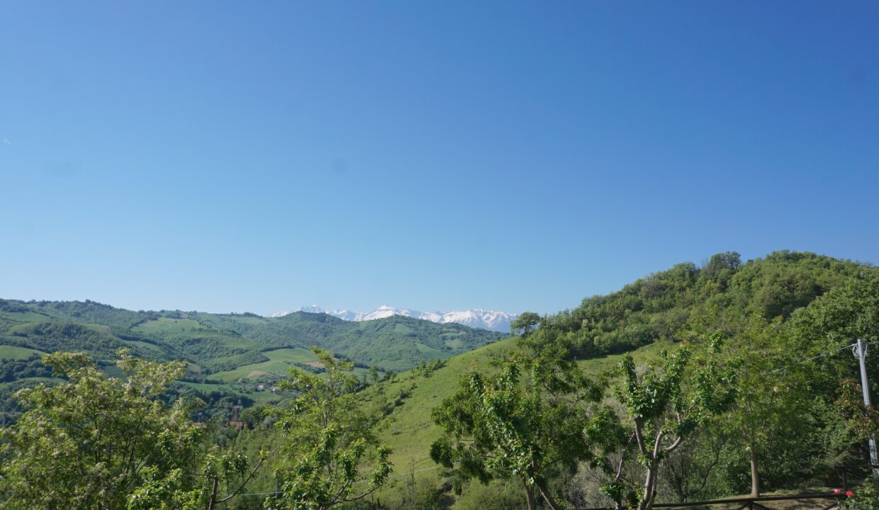 DSC08627