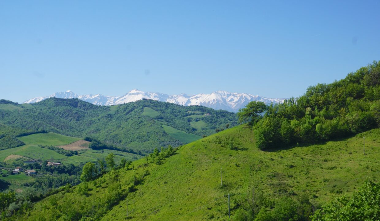 DSC08664