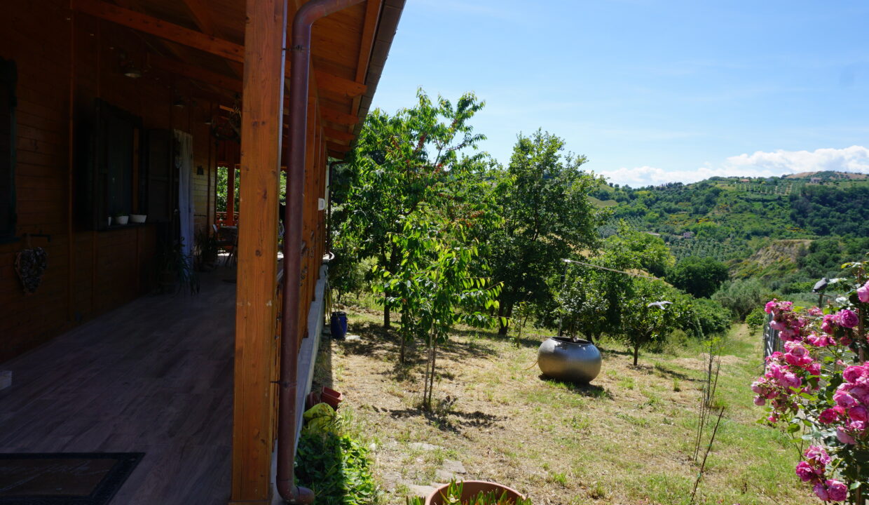 DSC08700