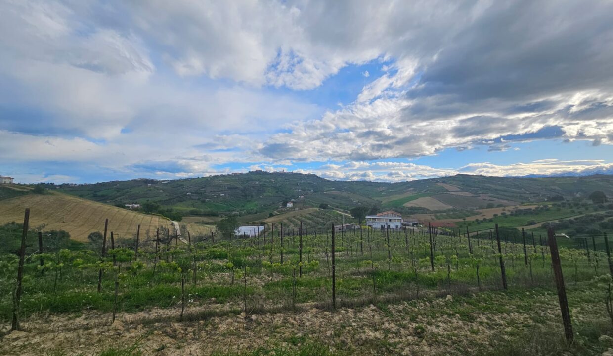 PHOTO-2025-04-17-18-44-58 3