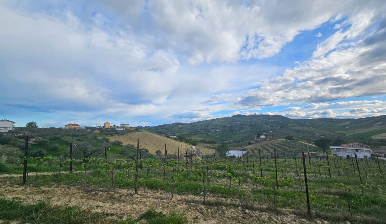 PHOTO-2025-04-17-18-44-58 4
