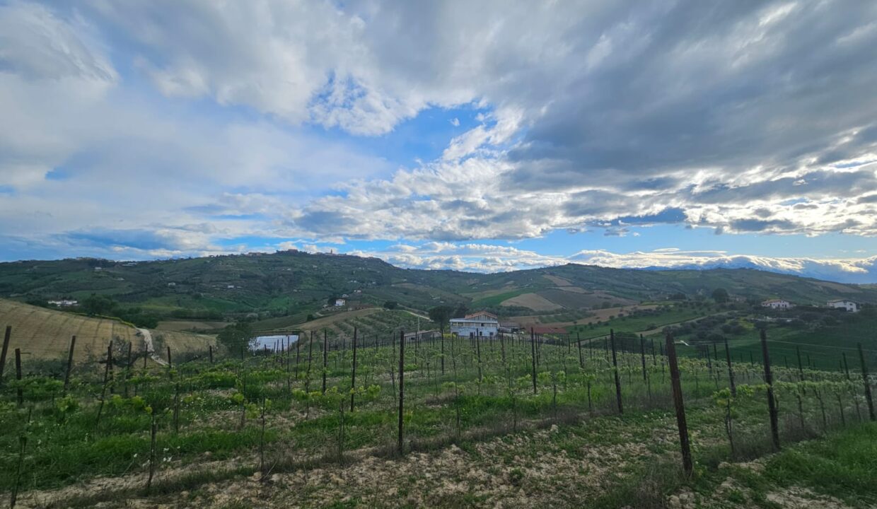 PHOTO-2025-04-17-18-44-58 5