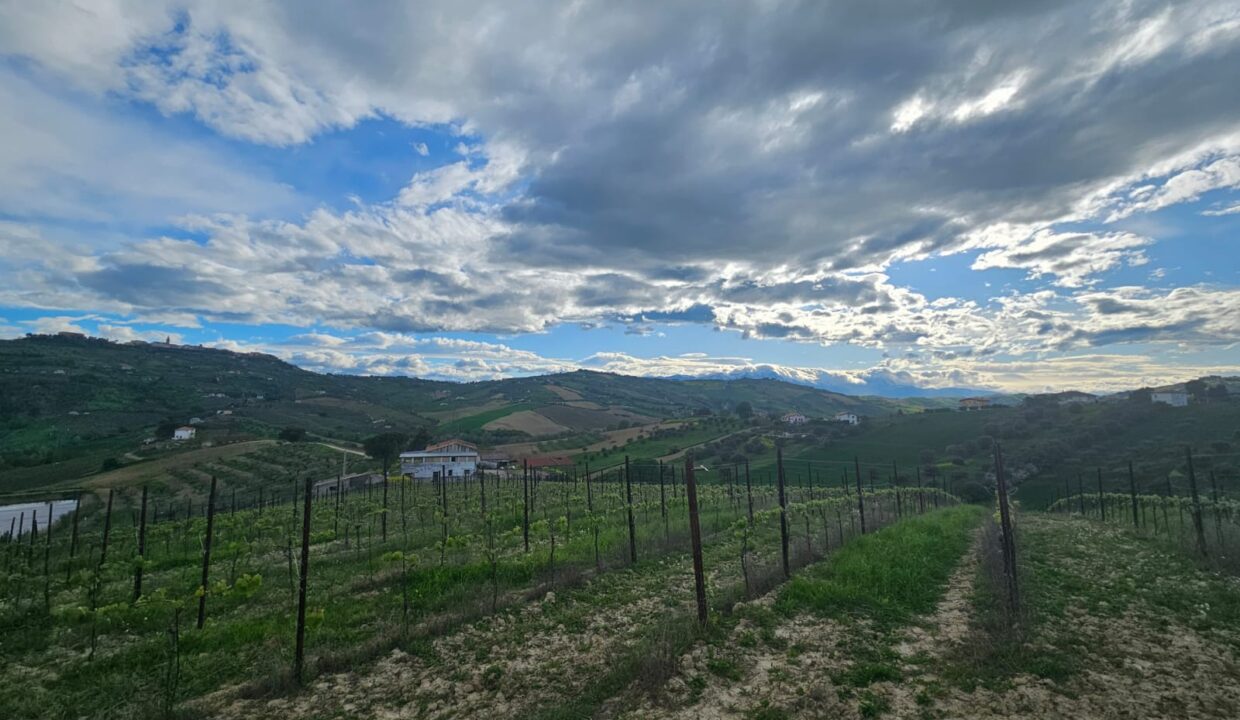 PHOTO-2025-04-17-18-44-58 6