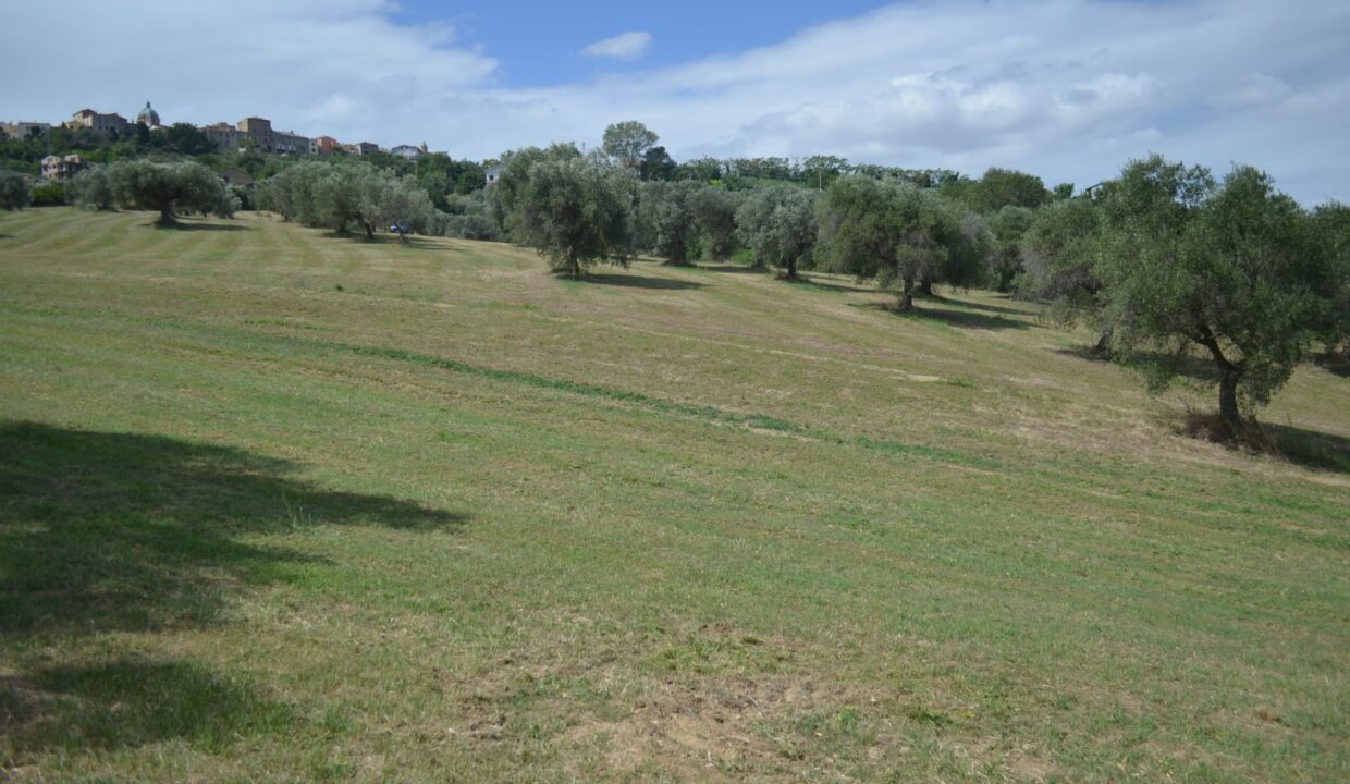 PHOTO-2025-06-05-16-14-50