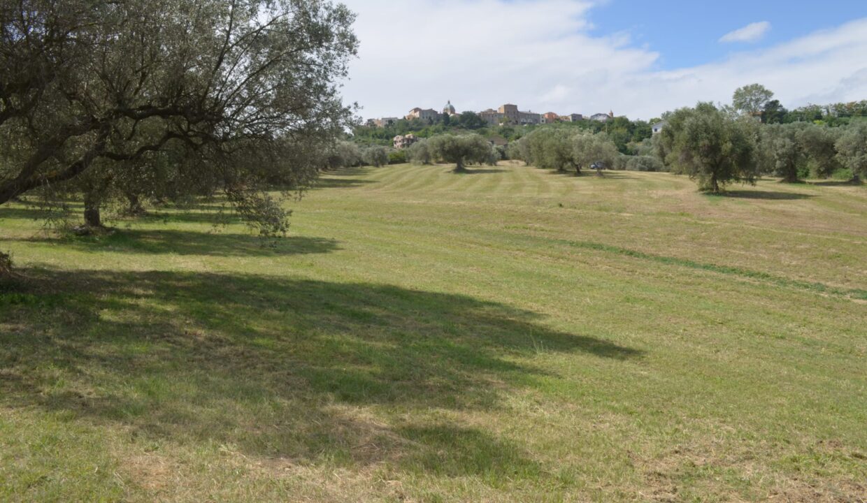 PHOTO-2025-06-05-16-14-51