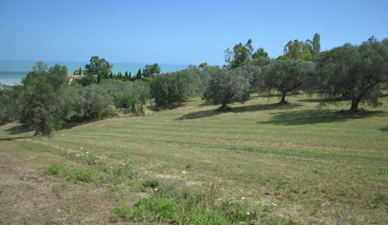PHOTO-2025-06-05-16-14-51 3
