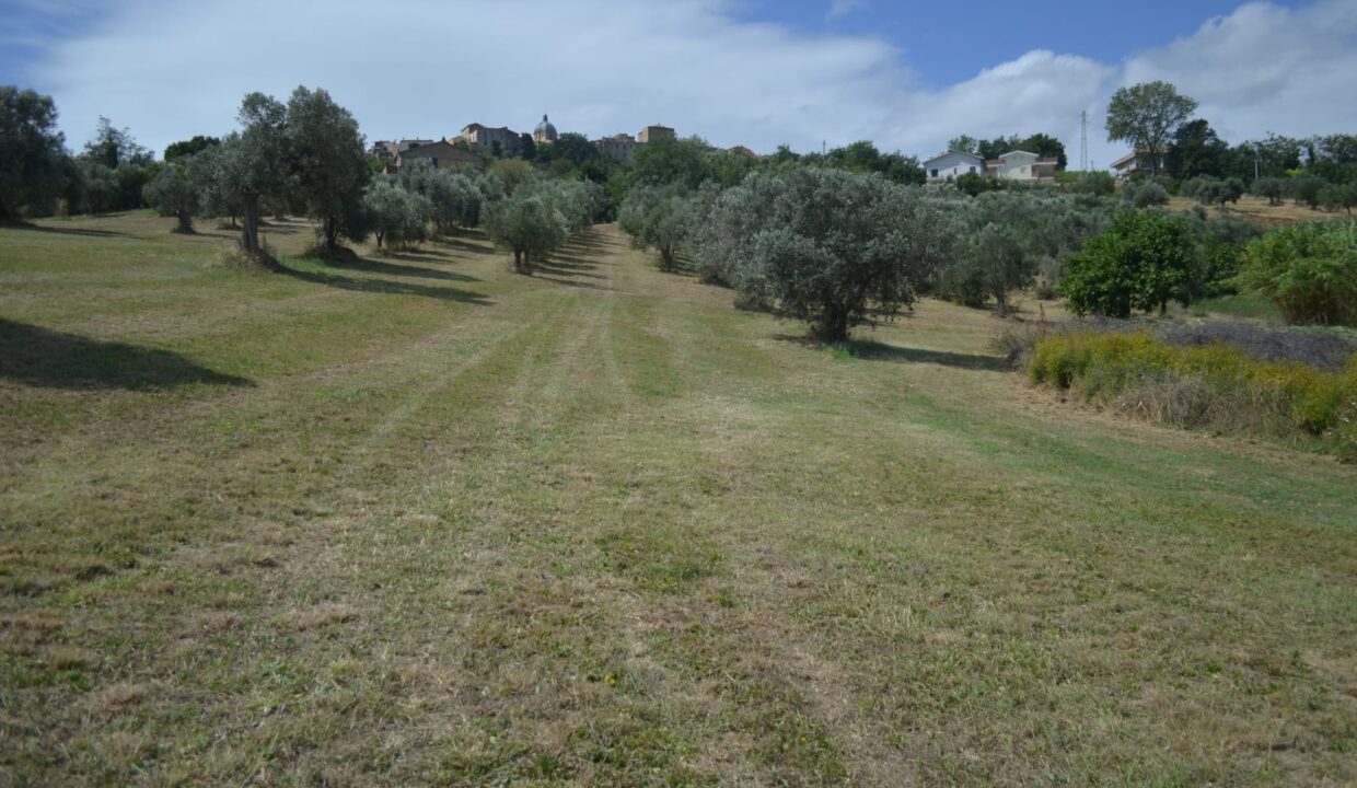 PHOTO-2025-06-05-16-14-52 2