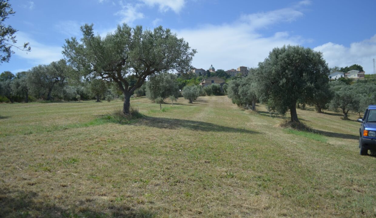 PHOTO-2025-06-05-16-14-52 3