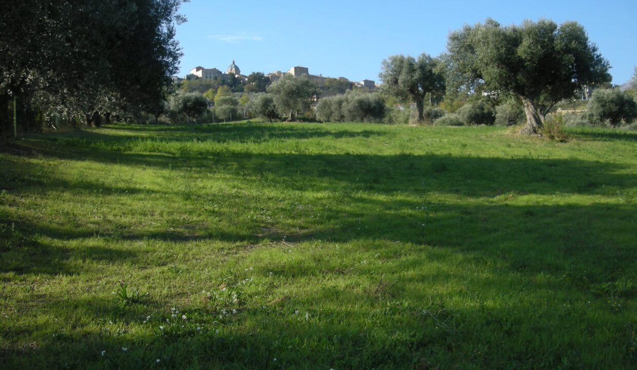 PHOTO-2025-06-05-16-14-58 2