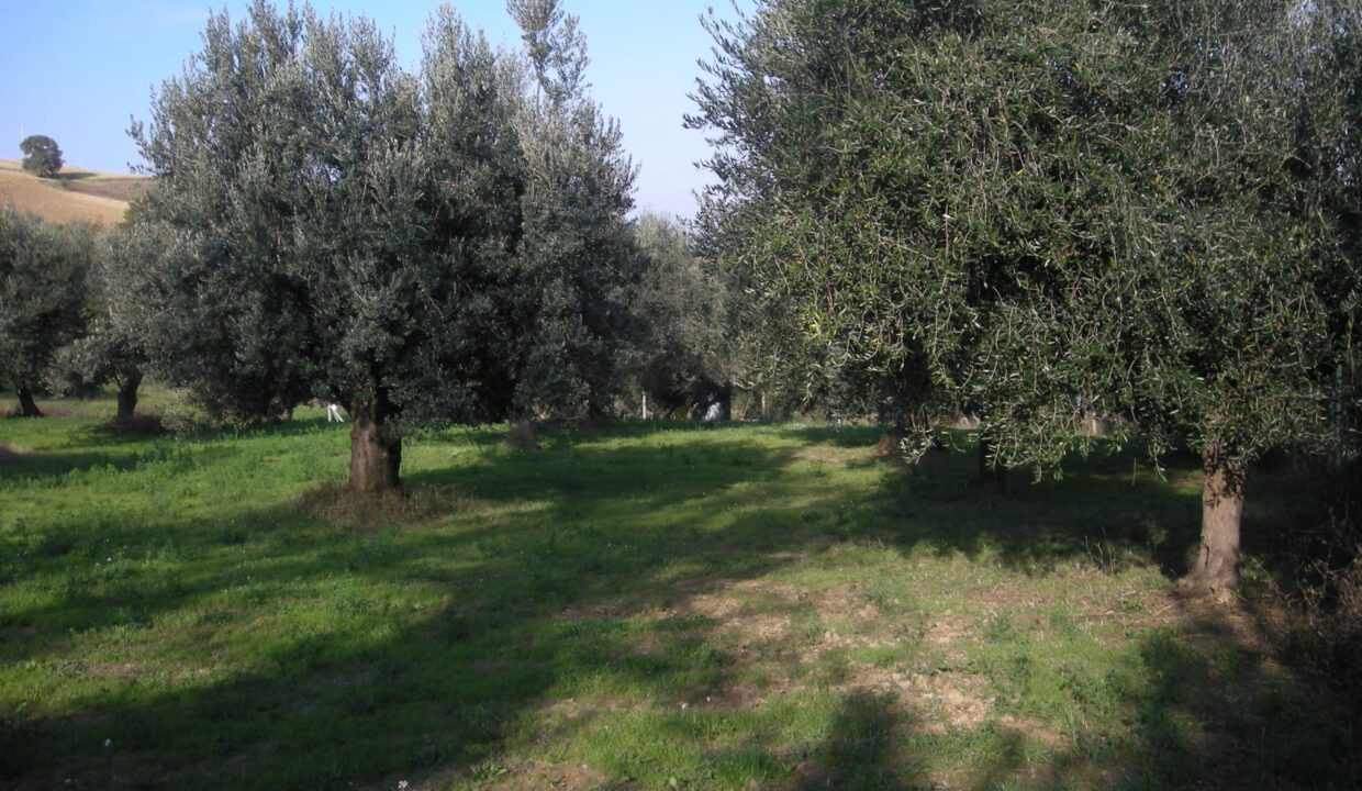PHOTO-2025-06-05-16-14-59