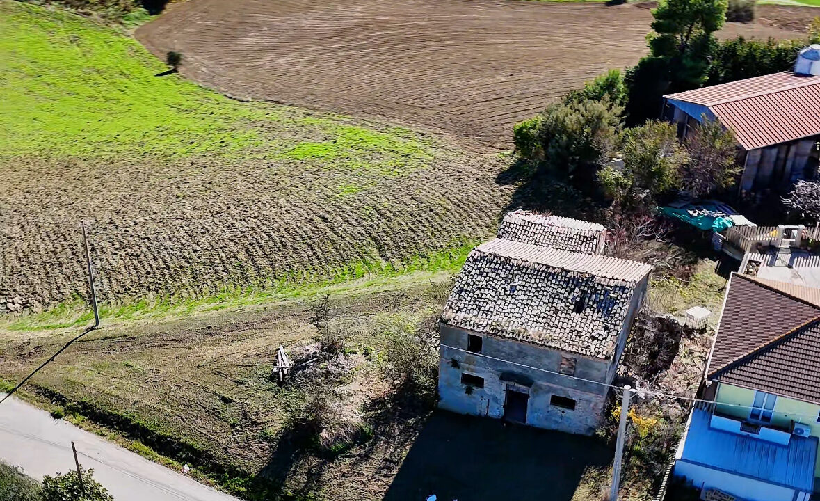 IMG_8008