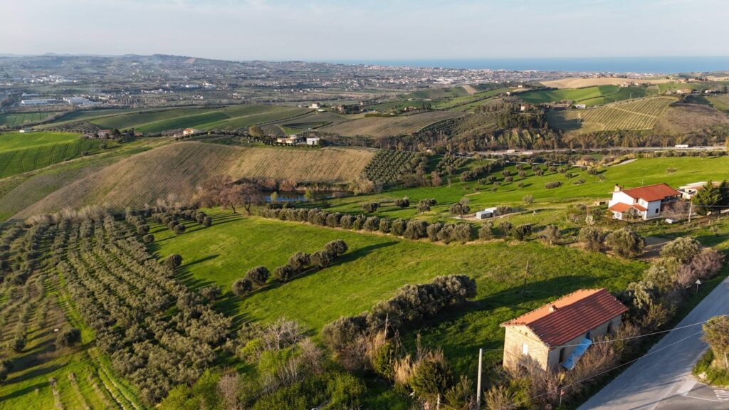 Rif. 50 – Morro d’Oro – (Teramo)